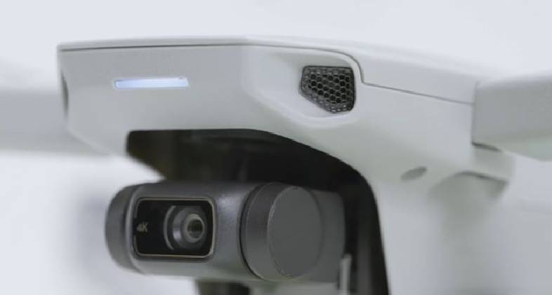 DJI Mini 2 and the Mavic Mini